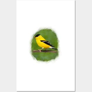 American Goldfinch Posters and Art